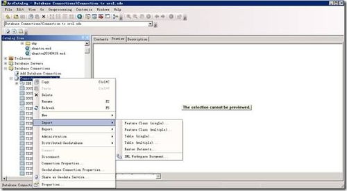 ArcGIS 10.2 地圖服務發布與基礎軟件服務使用詳解